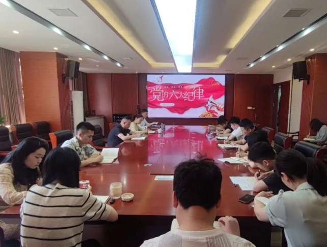 恪守“六大紀(jì)律”，筑牢思想根基--市古鎮(zhèn)投資公司行政黨支部組織開展黨記學(xué)習(xí)教育專題黨課