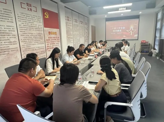市古鎮(zhèn)商旅文公司黨支部開(kāi)展學(xué)習(xí)貫徹黨的二十屆三中全會(huì)精神專(zhuān)題黨課